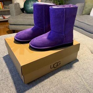 Purple Classic UGG Short